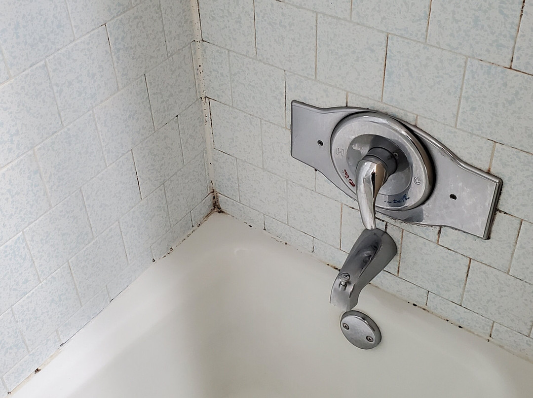 Extended Stay Suites Cookeville