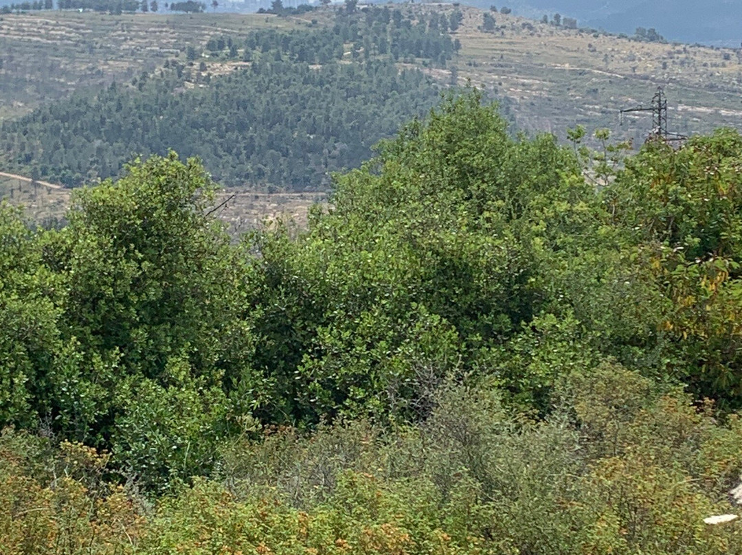 Har Hatayasim Pilots’ Mountain National Park景点图片