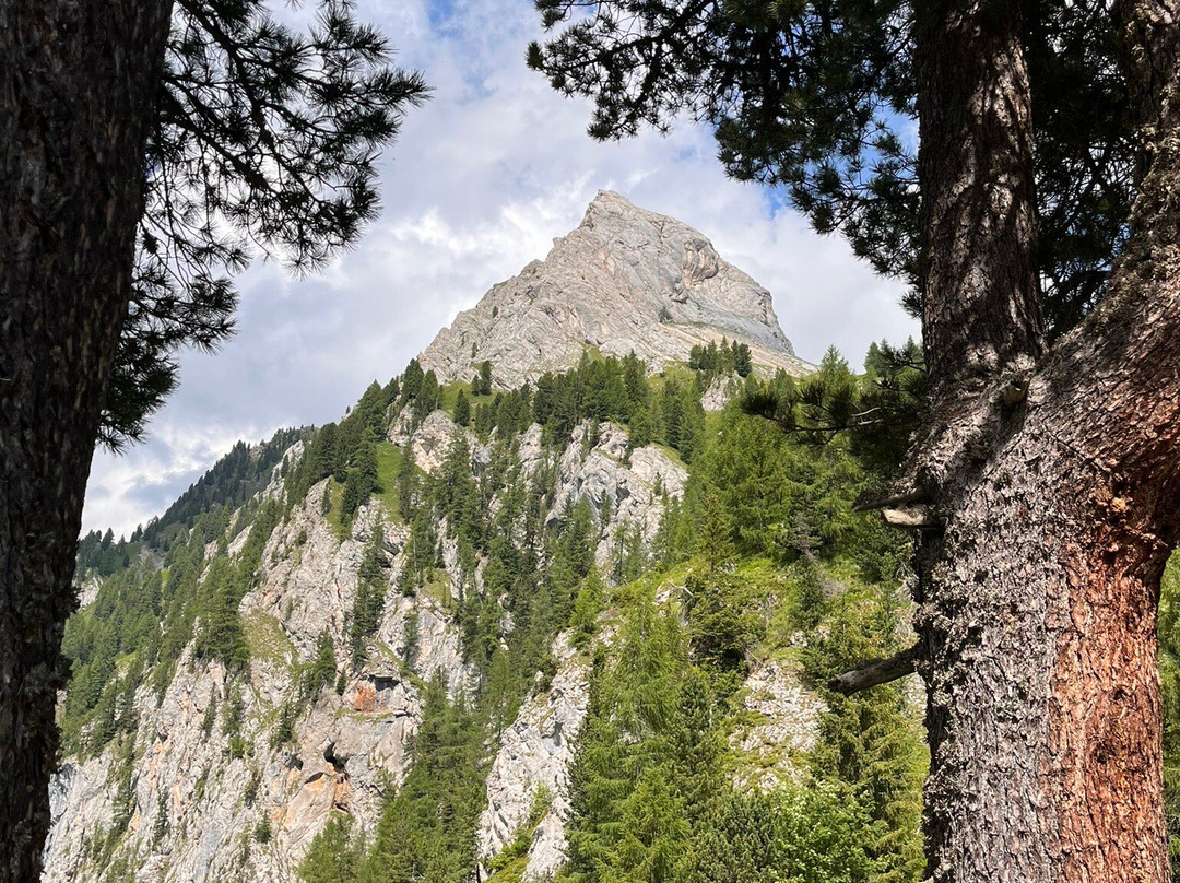 Rifugio Taramelli景点图片