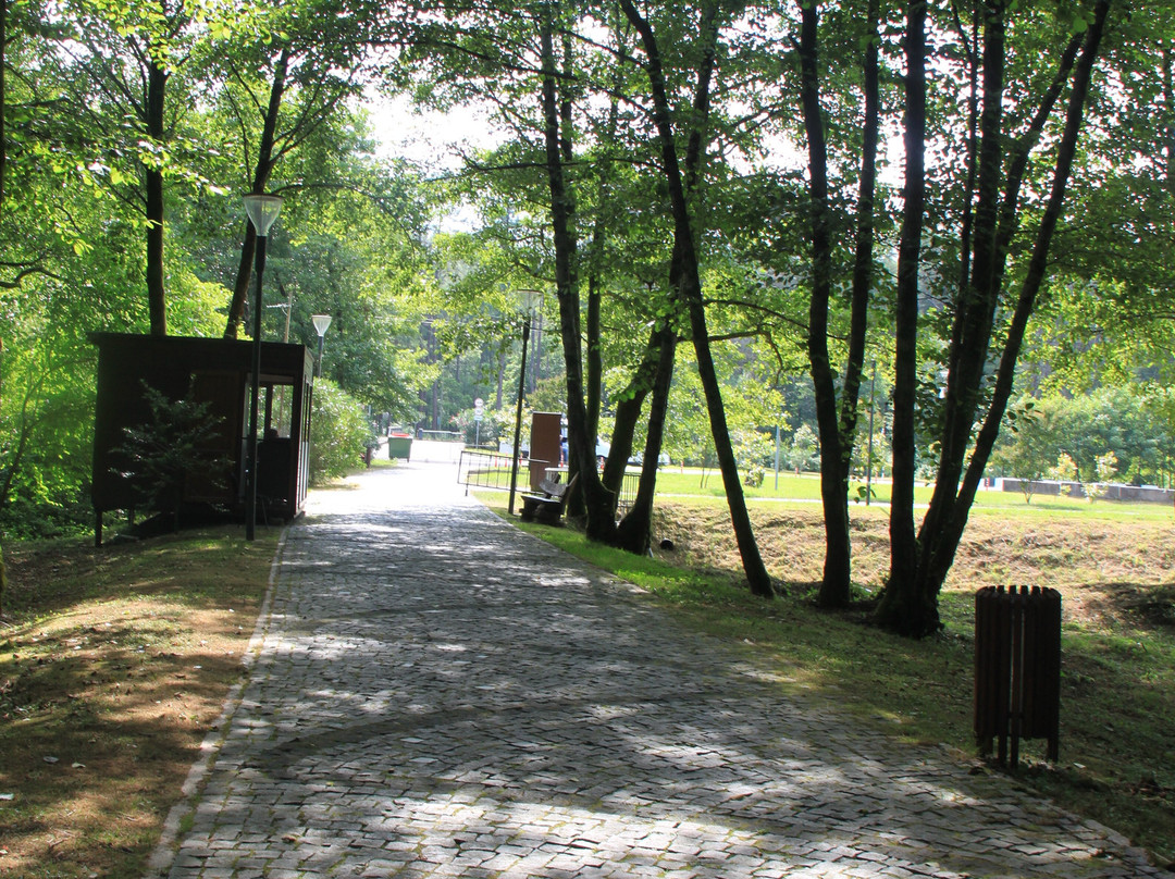 Musicians Park-Shekvetili必去景点
