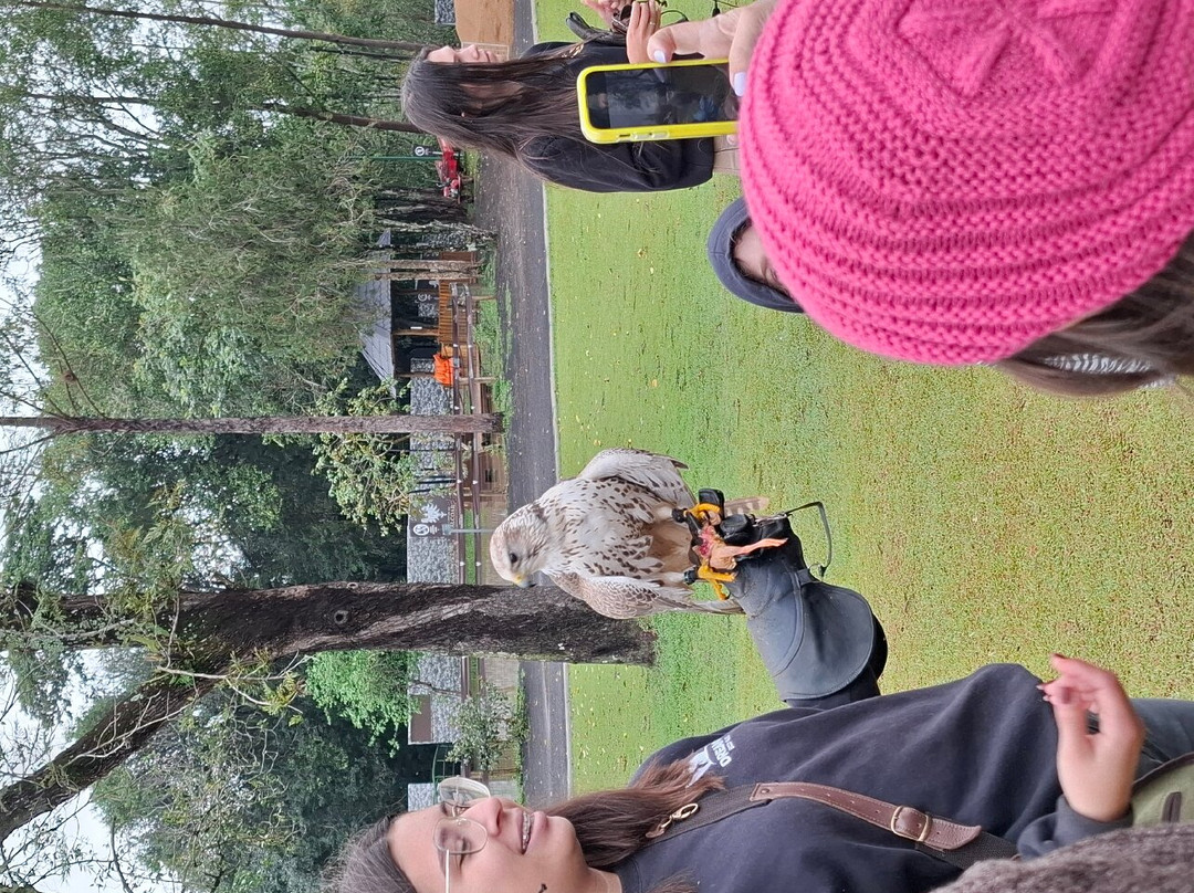 Foz Eco Park Zoo-伊瓜苏必去景点