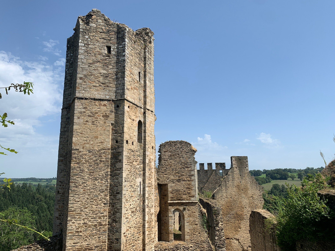Chateau de Chalucet景点图片