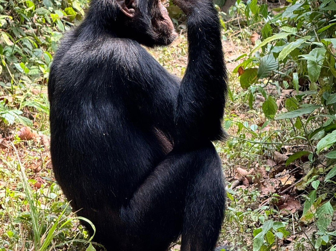 Cream Tours & Safaris-Mbarara必去景点