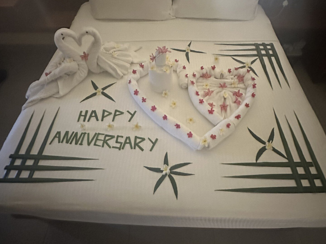 珊瑚斯特兰德明智选择主图