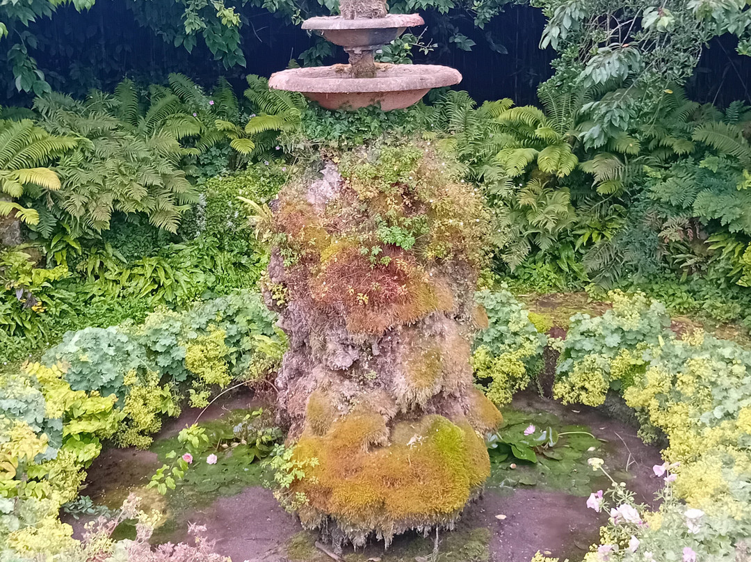 Tullynally Castle Gardens景点图片