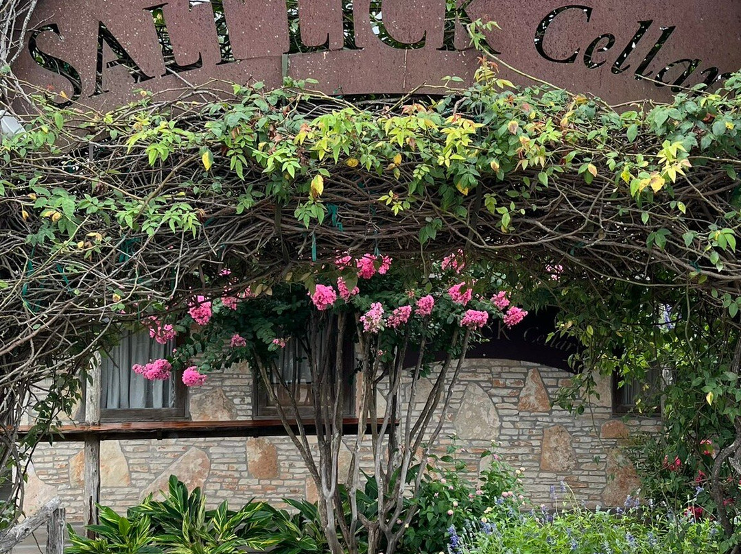 Salt Lick Cellars-Driftwood必去景点