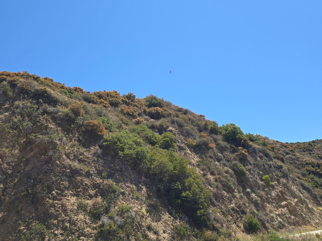 Glendora Mountain Road-Glendora必去景点