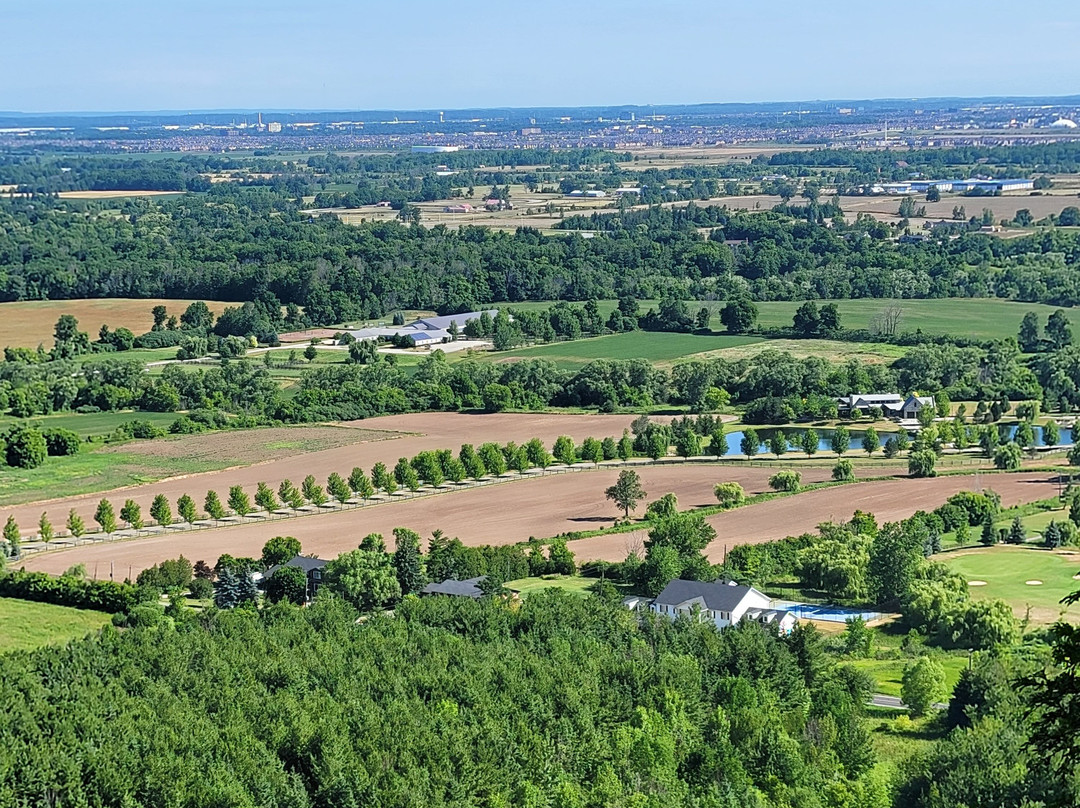 Crawford Lake Conservation Area景点图片