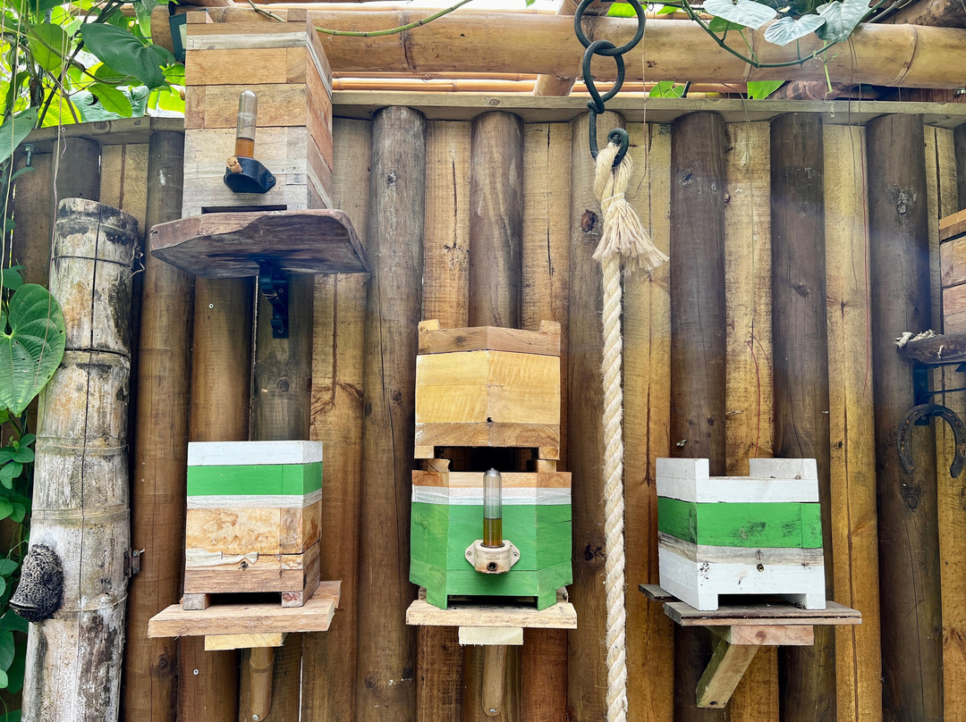 San Jose Del Nus酒店住宿-Reserva Natural Cueva de Morgan San Rafael