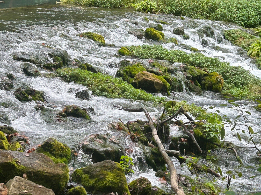 Maramec Spring Park-Saint James必去景点