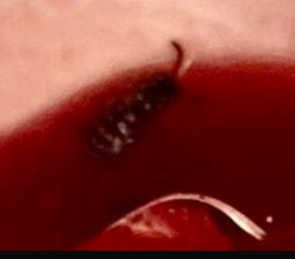 Hotel Landhaus Feldmeier-官方