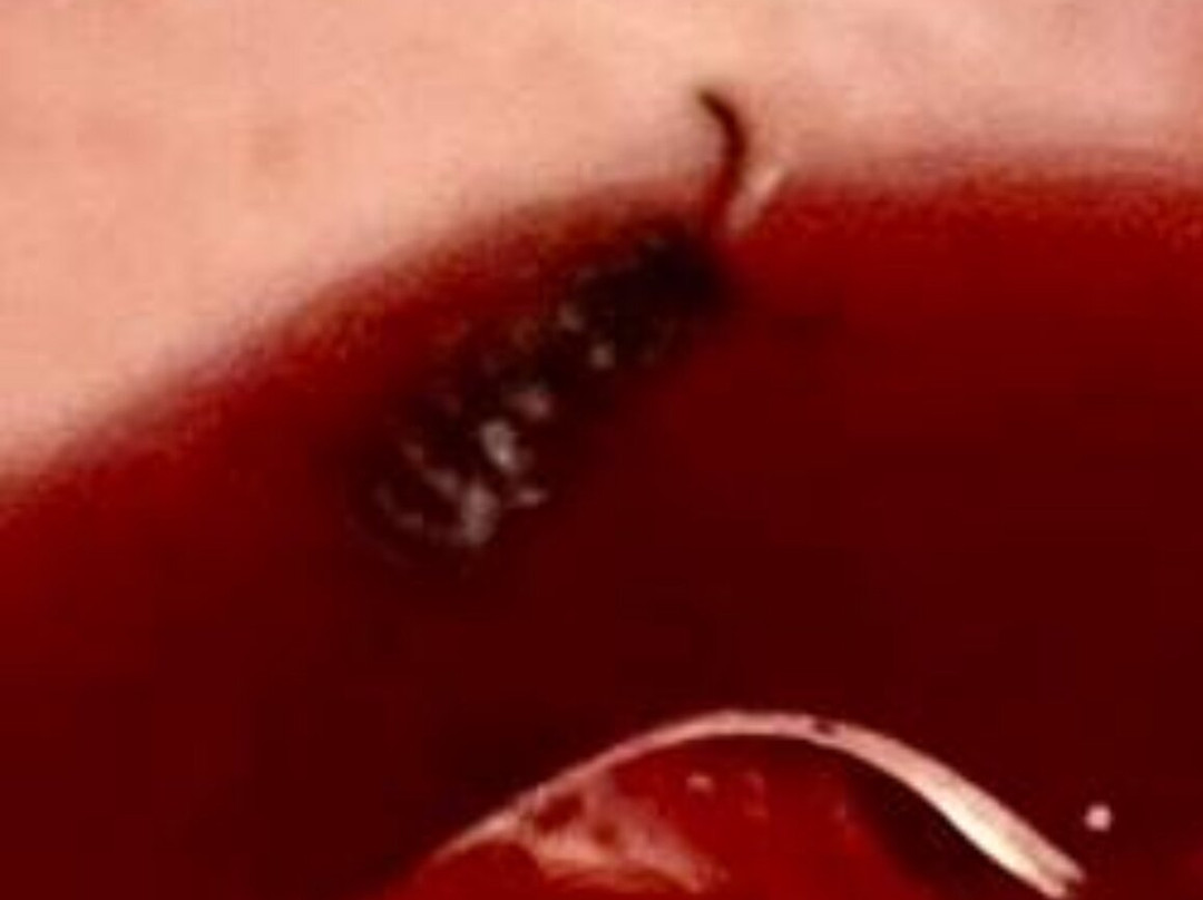 Hotel Landhaus Feldmeier主图