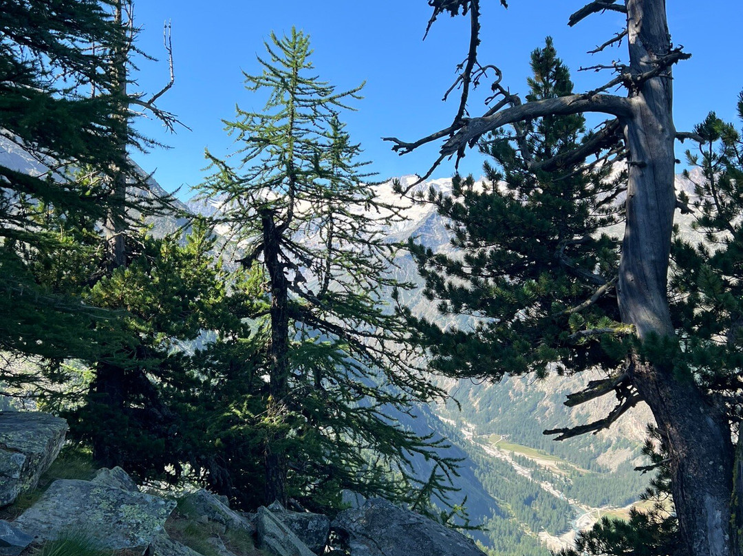 Montseuc Belvedere Sentiero natura-科涅必去景点