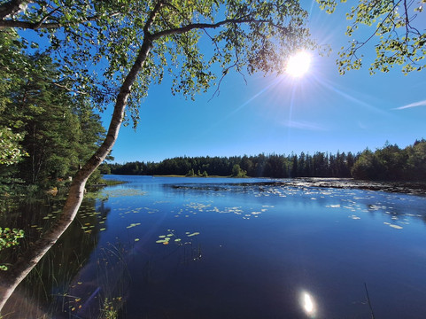 Hatteboda Vildmarkscamping主图