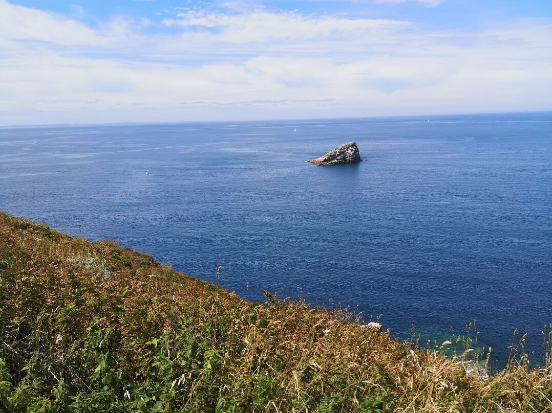 Cap Fréhel景点图片