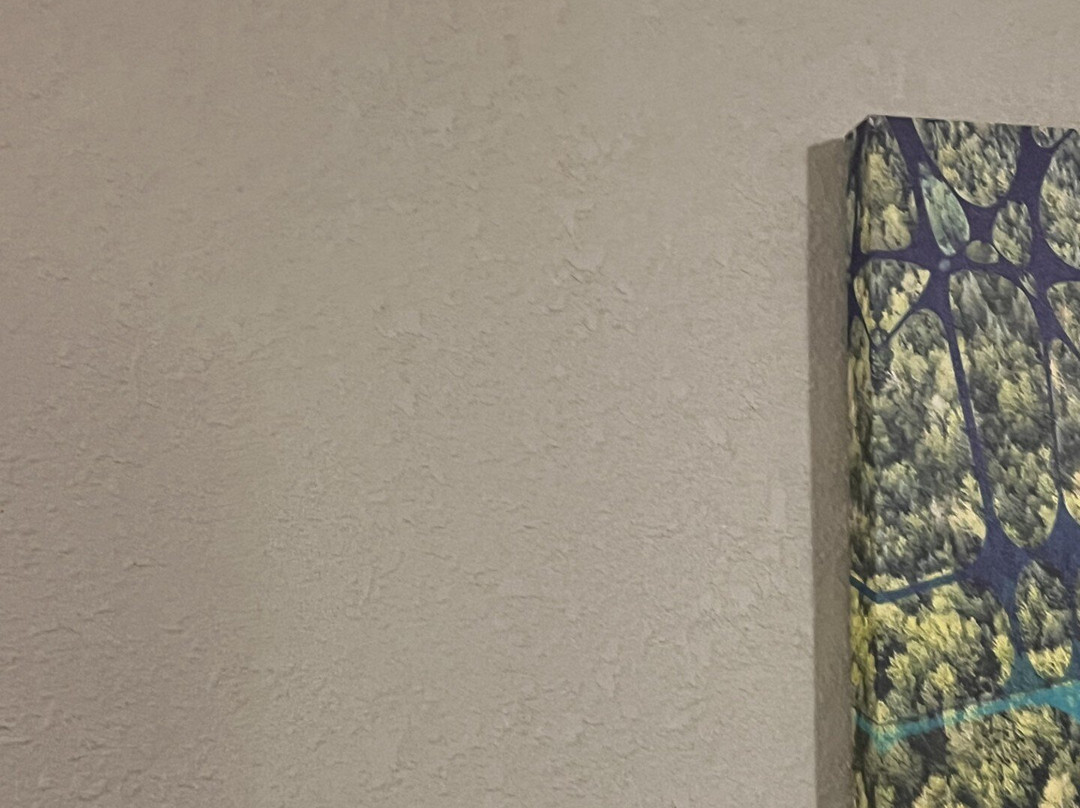 Best Western Montis Inn主图