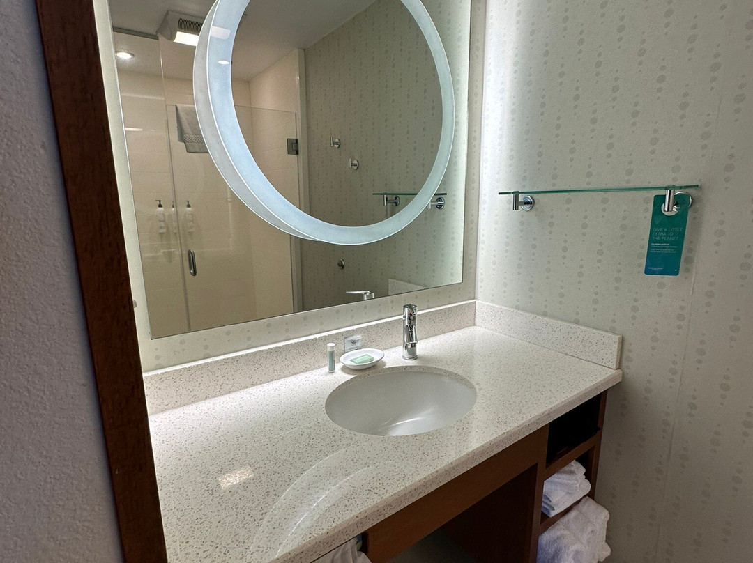 SpringHill Suites by Marriott Rexburg主图