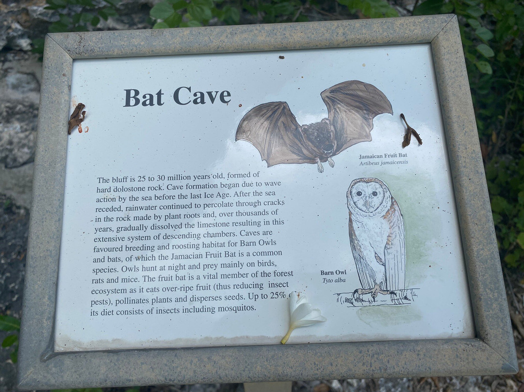 Carib Sands Beach Resort主图