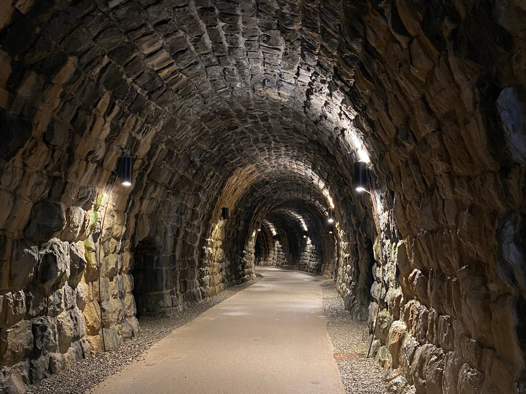Sentiero del Trenino della Val Gardena景点图片