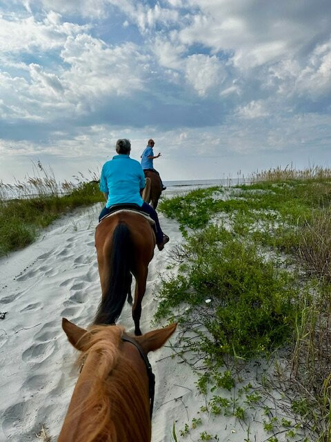The Stables at Frederica,-圣西蒙斯岛必去景点