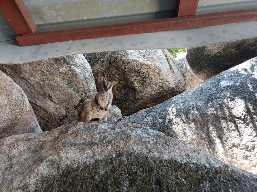 Magnetic Island Tours-Nelly Bay必去景点