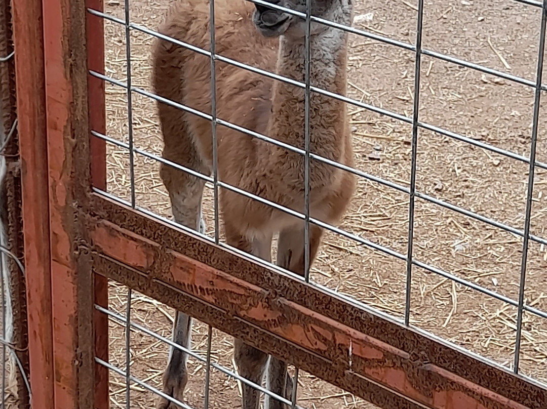 Zoologikós Kípos Kalavrýton-卡拉夫里塔必去景点