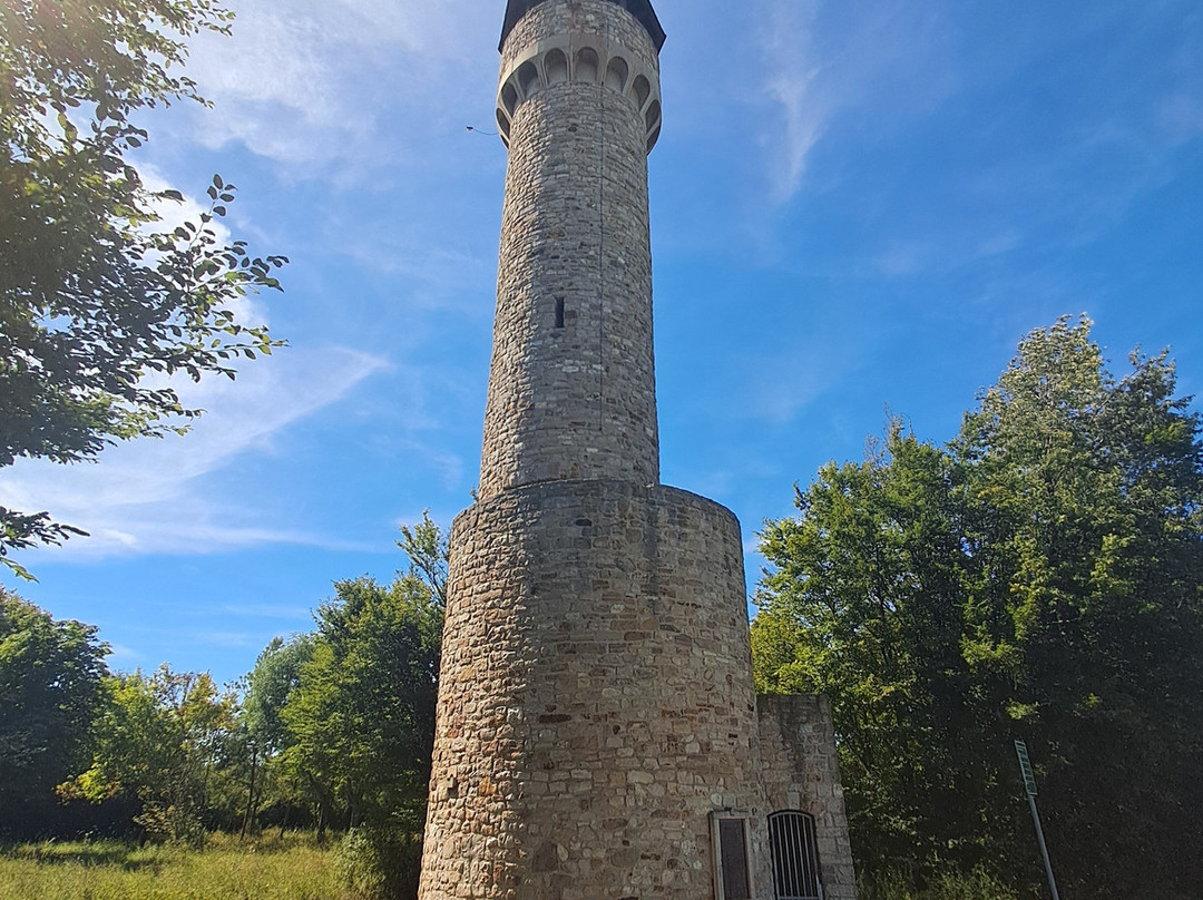 Wartbergturm景点图片
