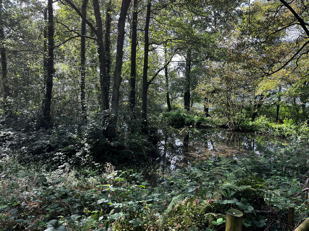 Ferne Animal Sanctuary-Chard必去景点