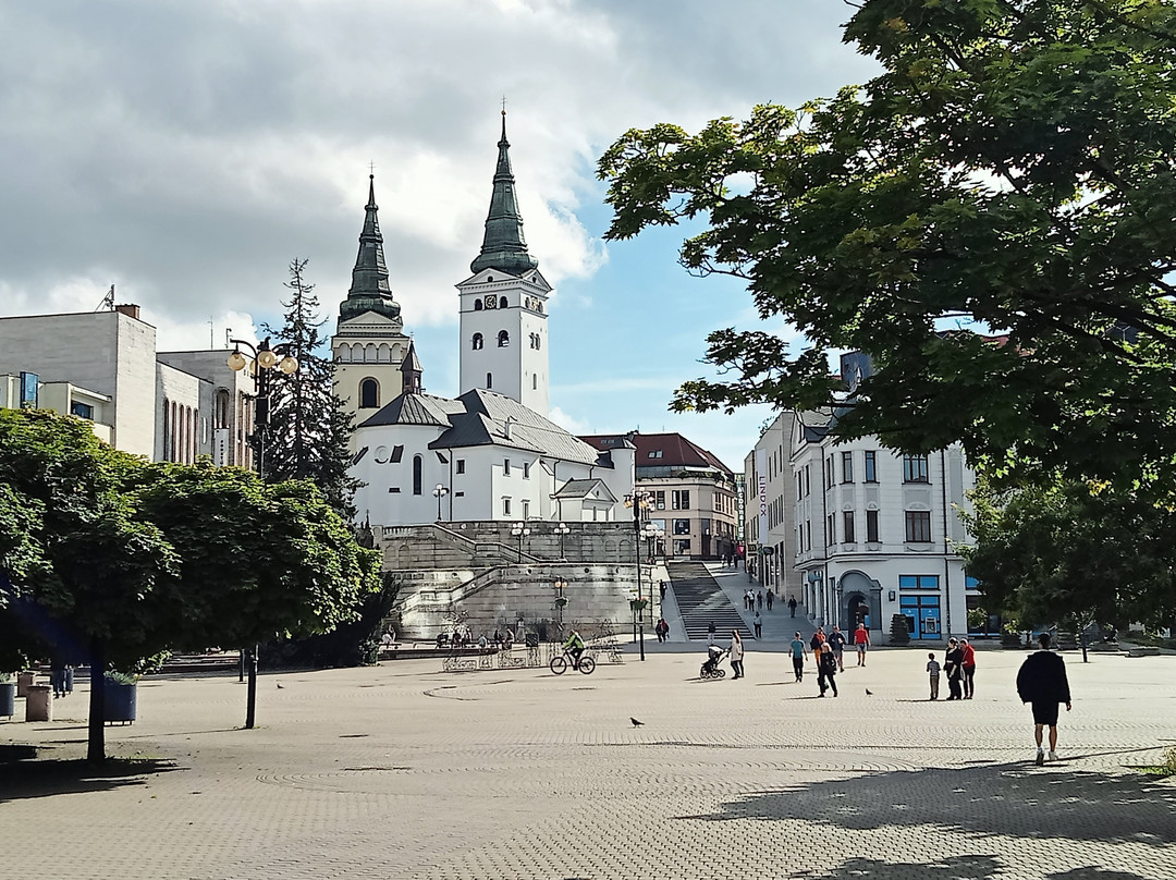Holy Trinity Cathedral-Zilina必去景点