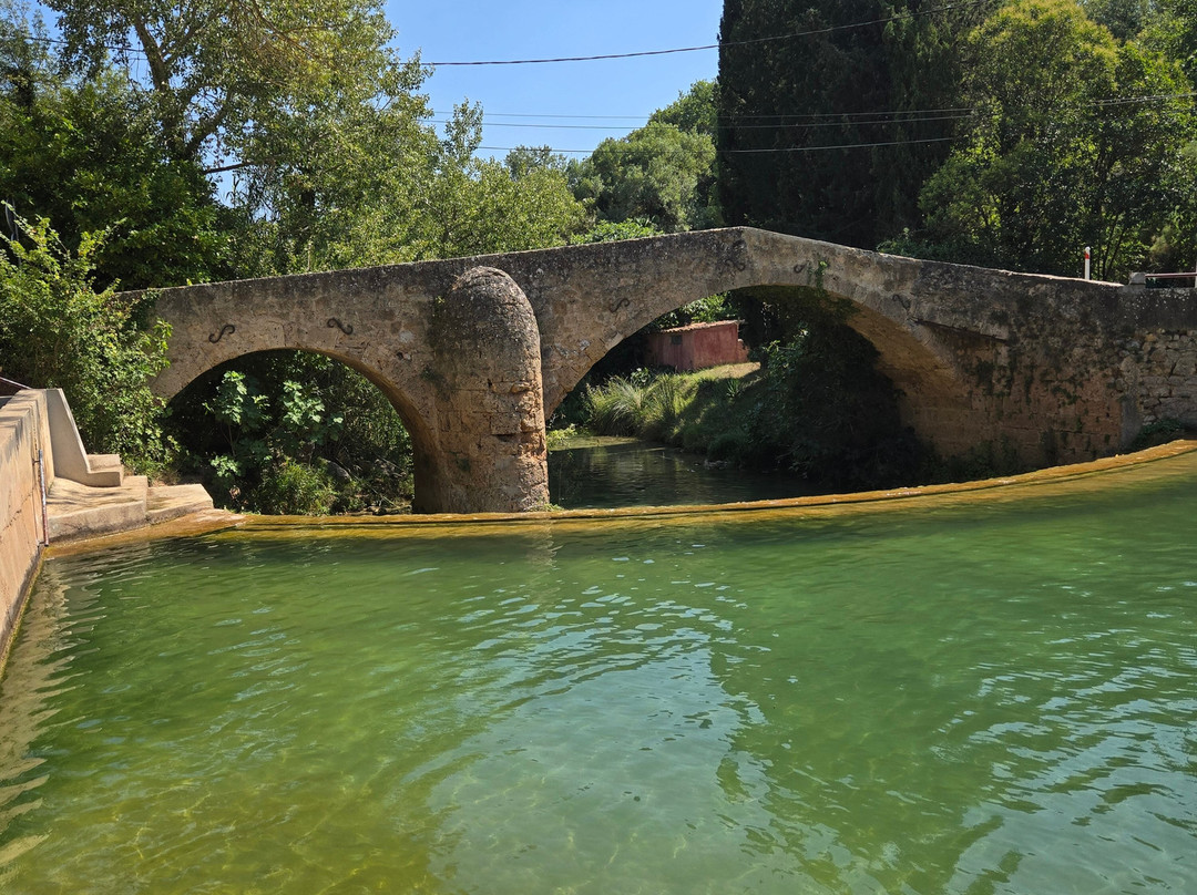 Piscine Naturelle Salernes景点图片