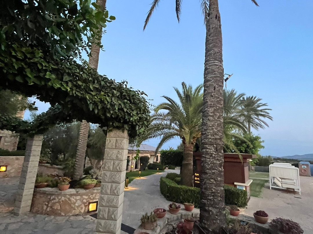 Son Trobat Wellness & Spa主图