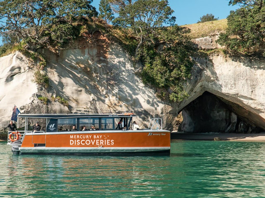 Mercury Bay Discoveries - Cathedral Cove & Coastal Tour-菲蒂昂格必去景点