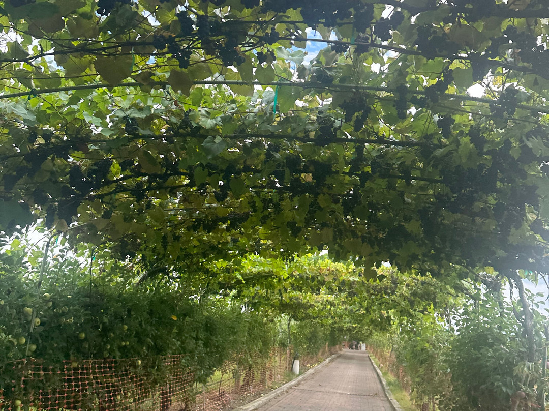 Lookout Farm-内蒂克必去景点