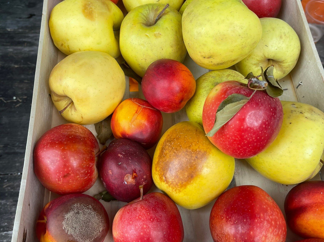 Casa Alpina Sant' Apollinare主图