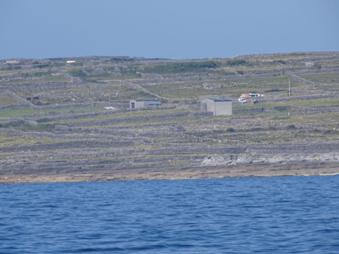 Galway Bay Fishing景点图片