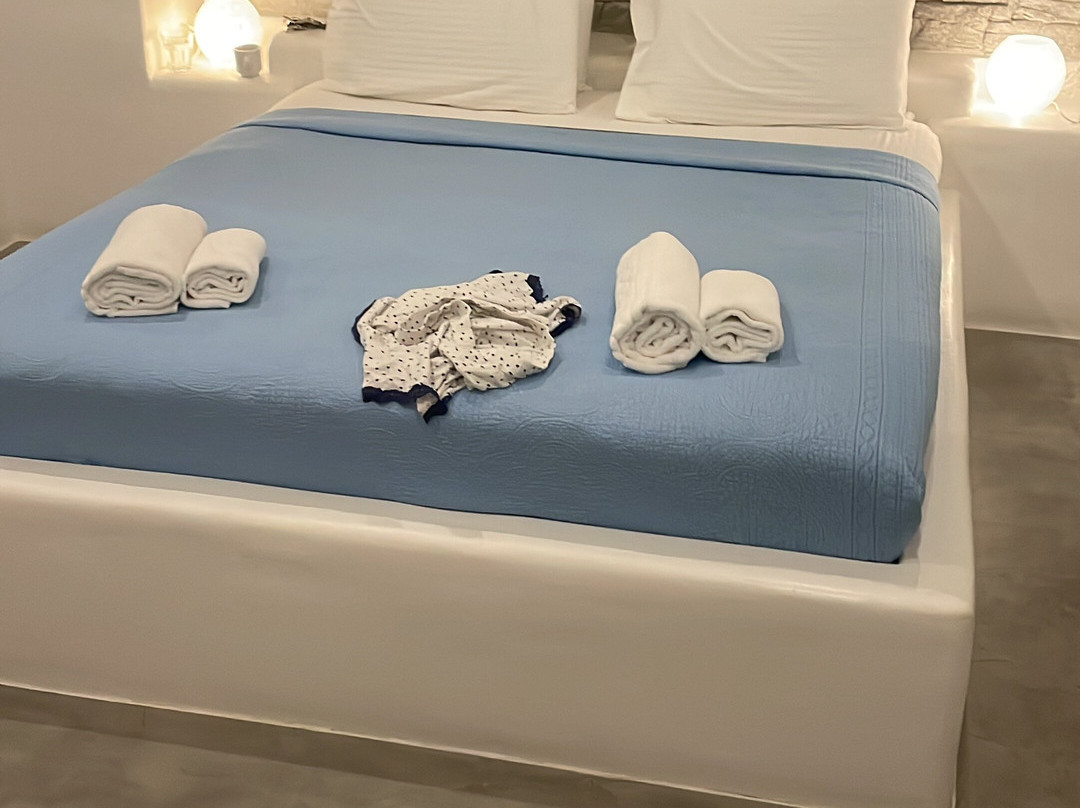 Olga's Pension主图