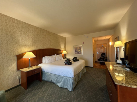 埃尔金斯蔚景温德姆酒店主图