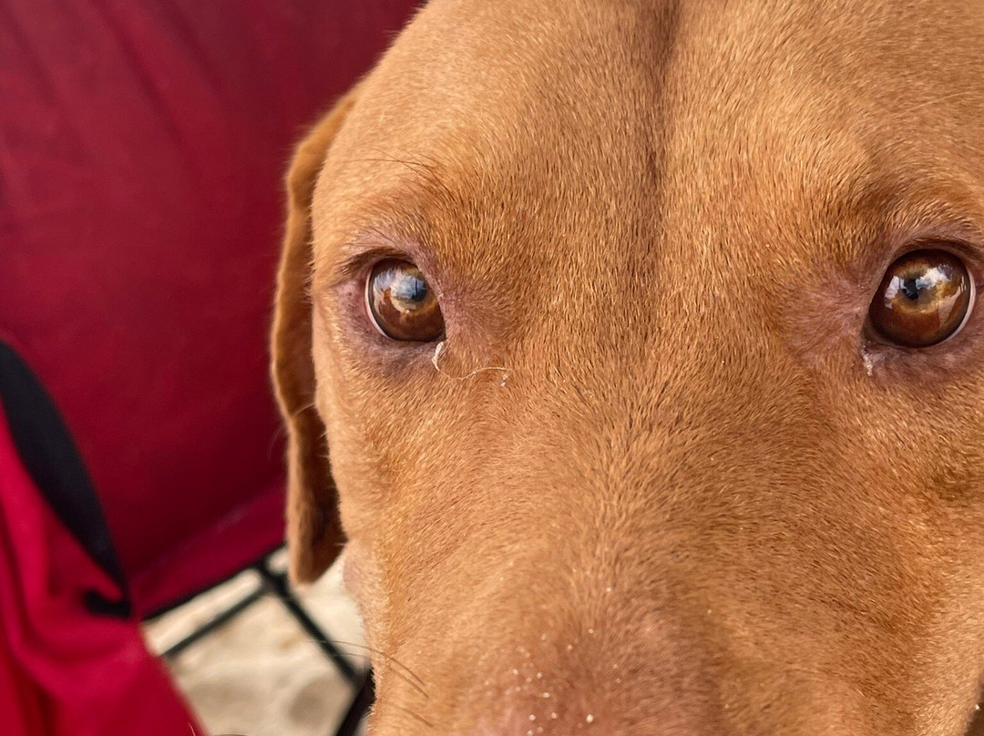 Rainbow Bay Beach-伊柳塞拉必去景点