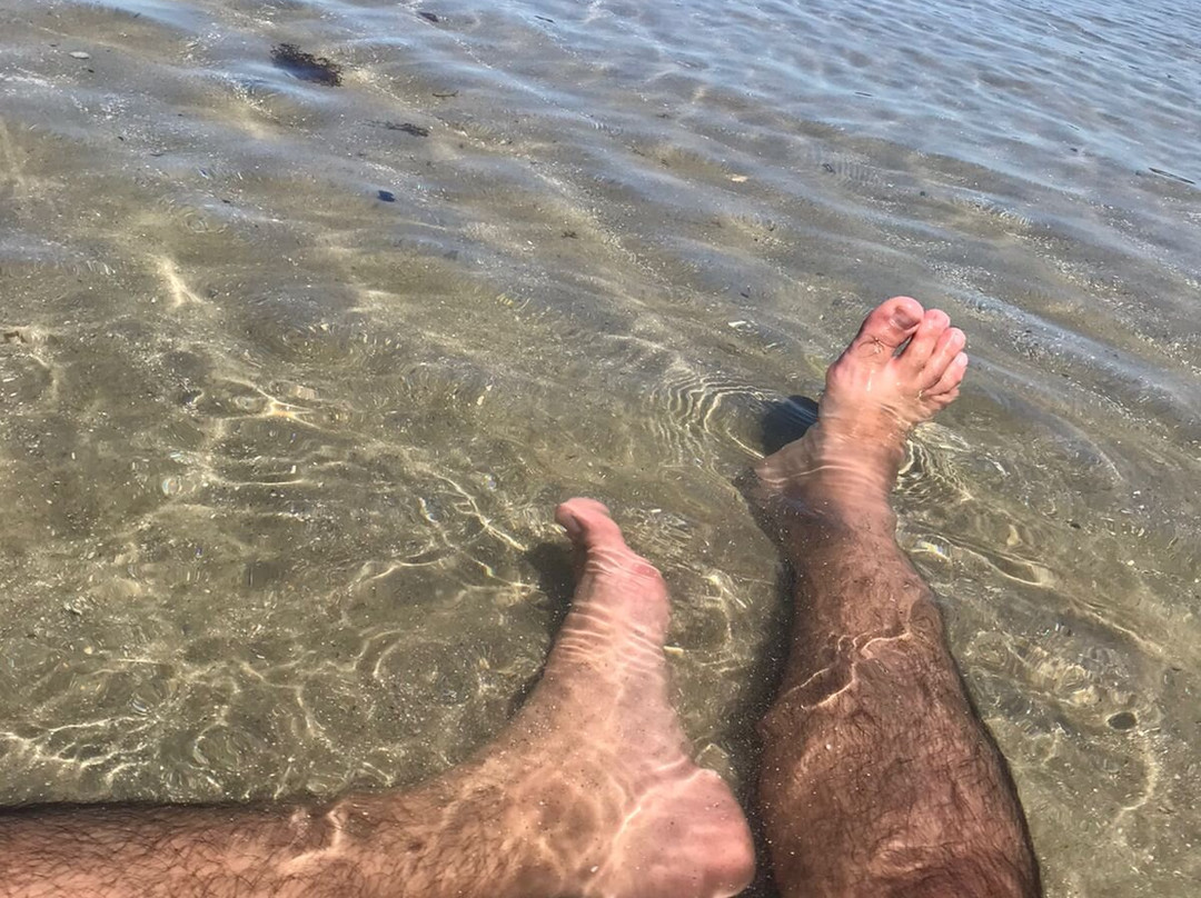 Manguezal Ecoturismo-Tamandare必去景点