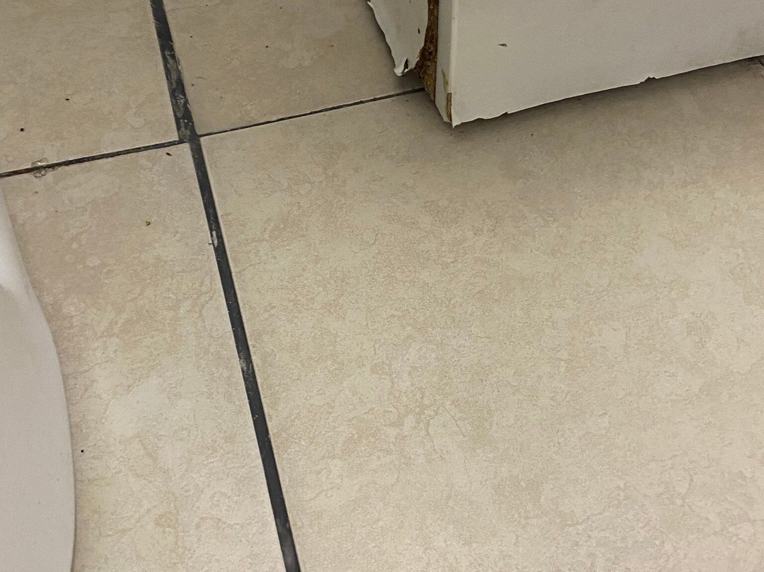 福尔斯汽车旅馆主图