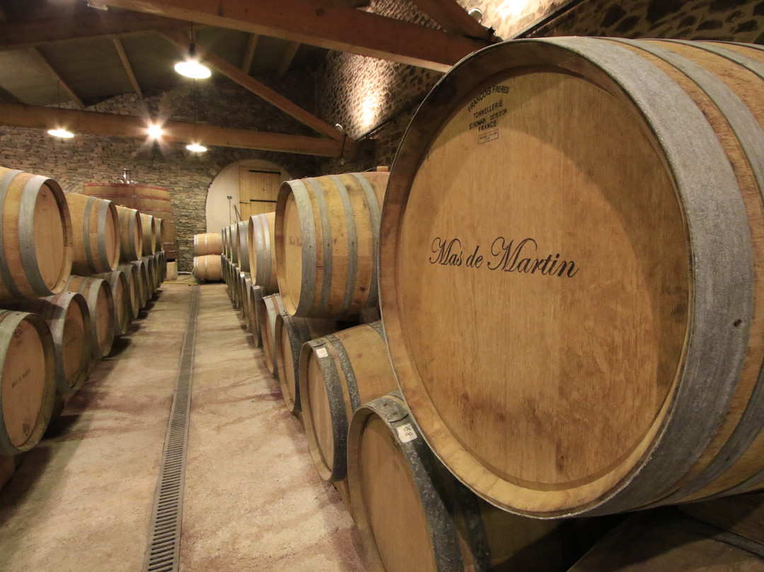 Domaine Mas De Martin景点图片