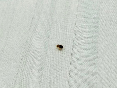 SkyLine Club & Resorts主图