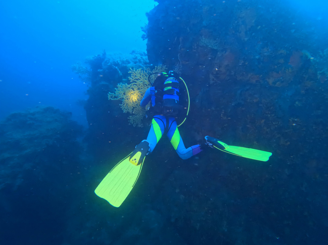 Orca Dive Club Sardinia-圣特雷莎加卢拉必去景点