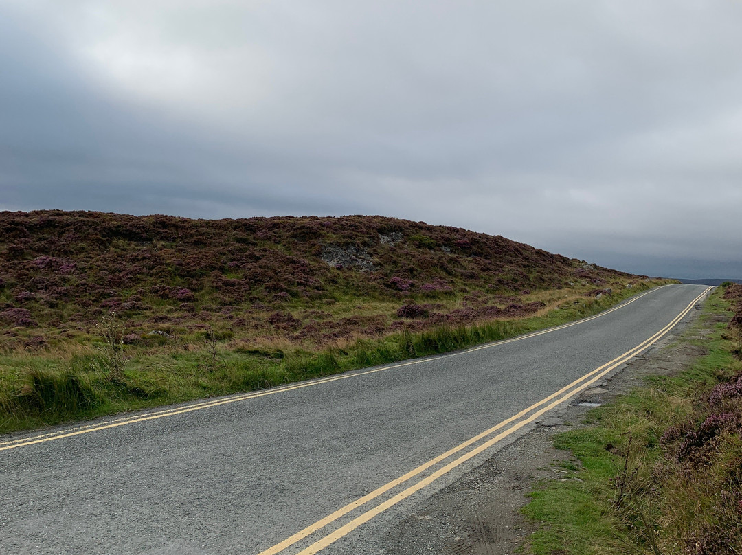 Sally Gap-Wicklow必去景点
