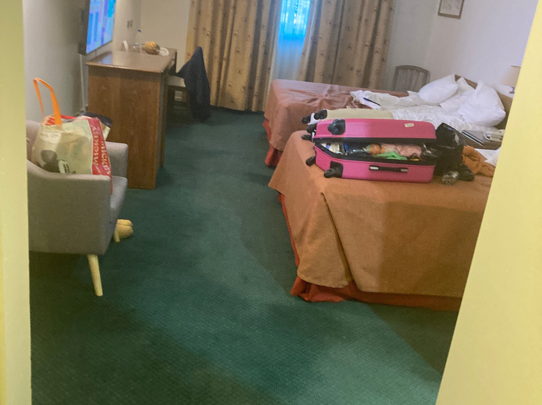 蓬塔阿雷纳斯圣迭戈德阿尔马格罗酒店主图