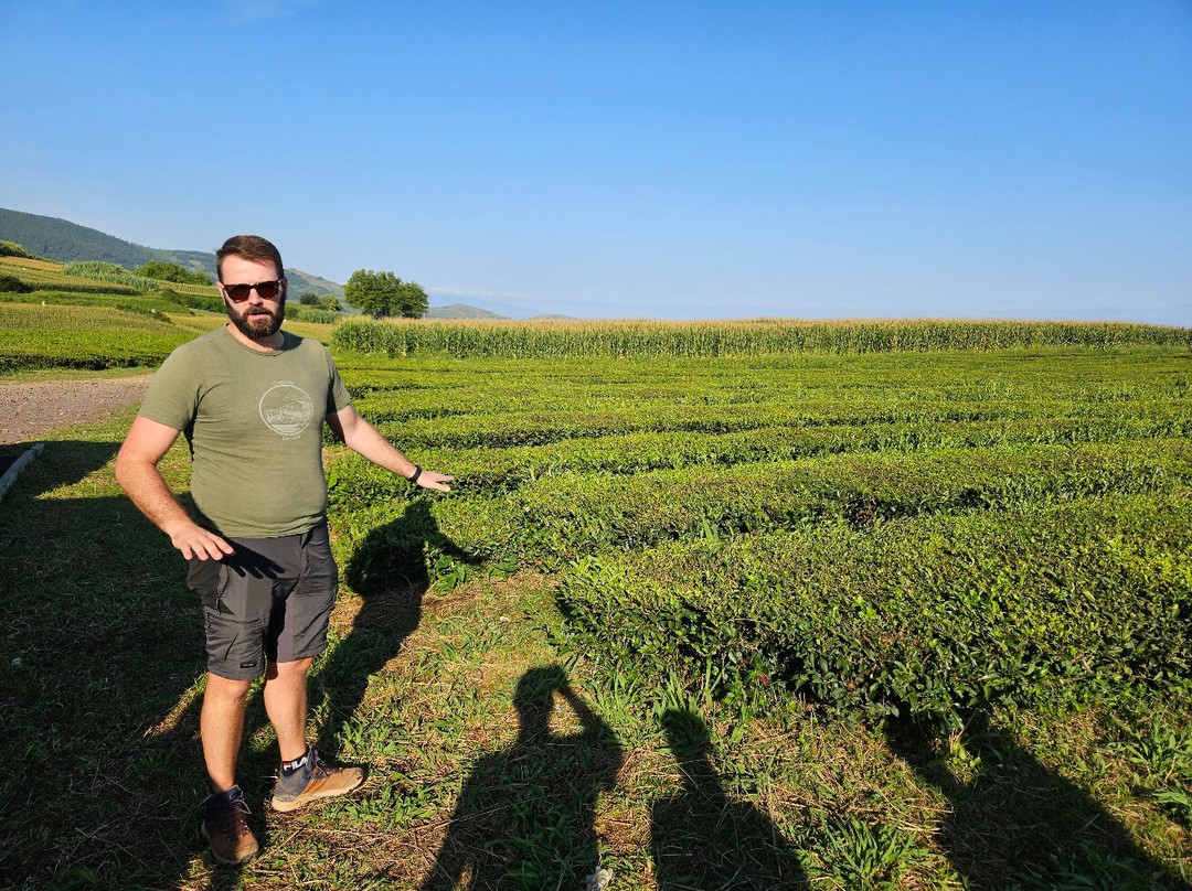 Green Corner Tours-Faja de Baixo必去景点
