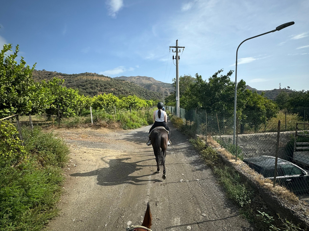 Sunshine Adventure Horses Power景点图片