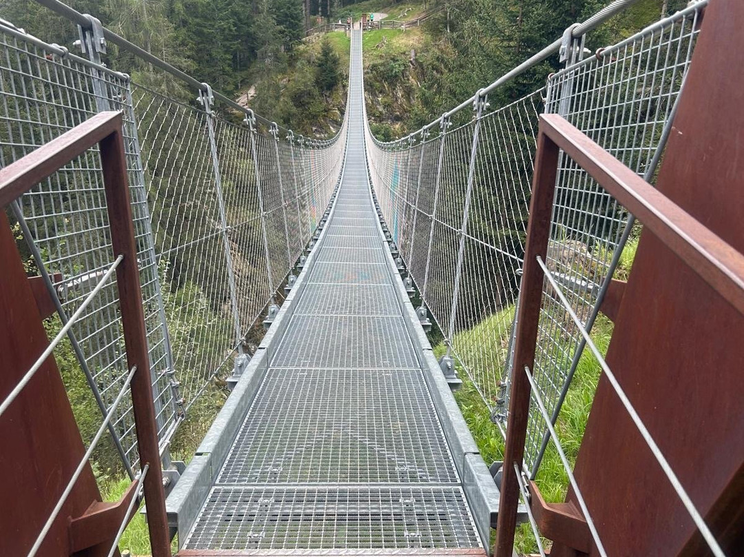 Ponte Tibetano景点图片
