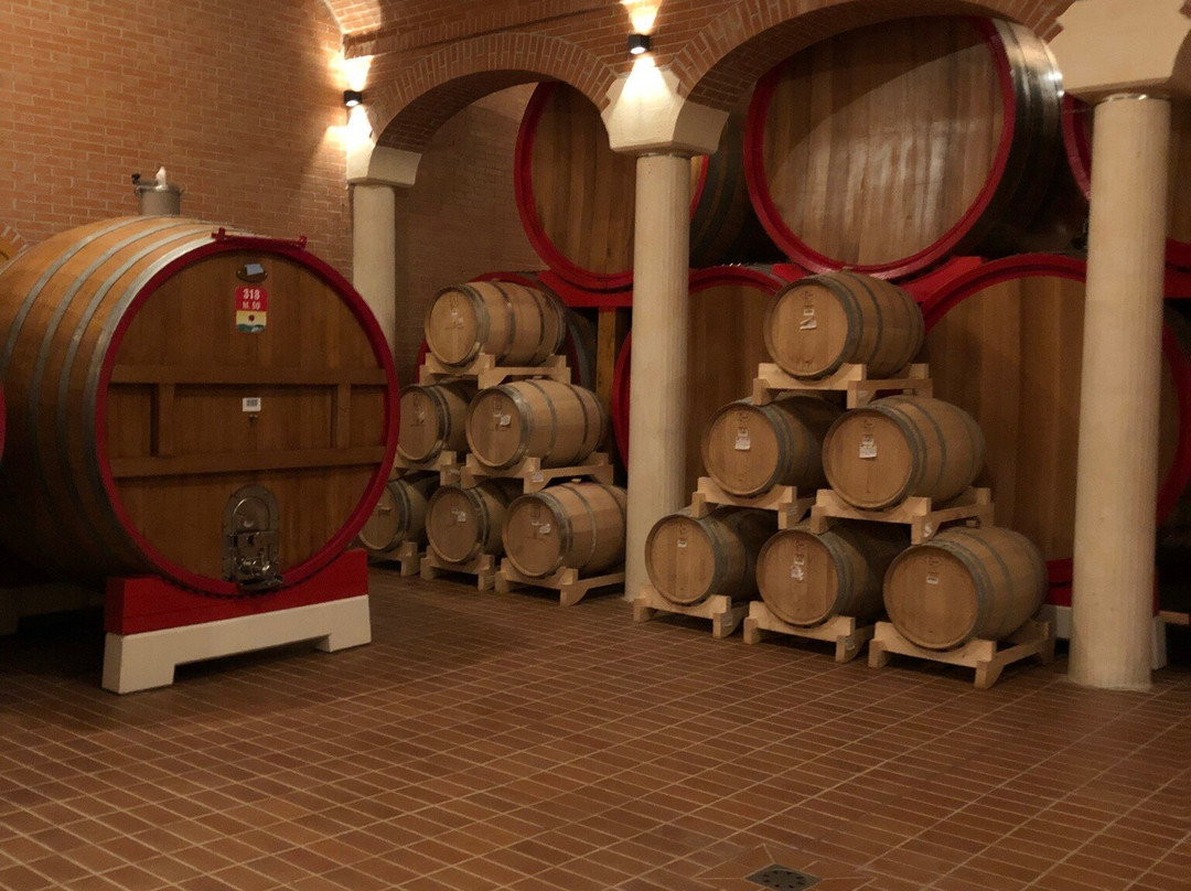 Cantina Valpolicella Negrar景点图片
