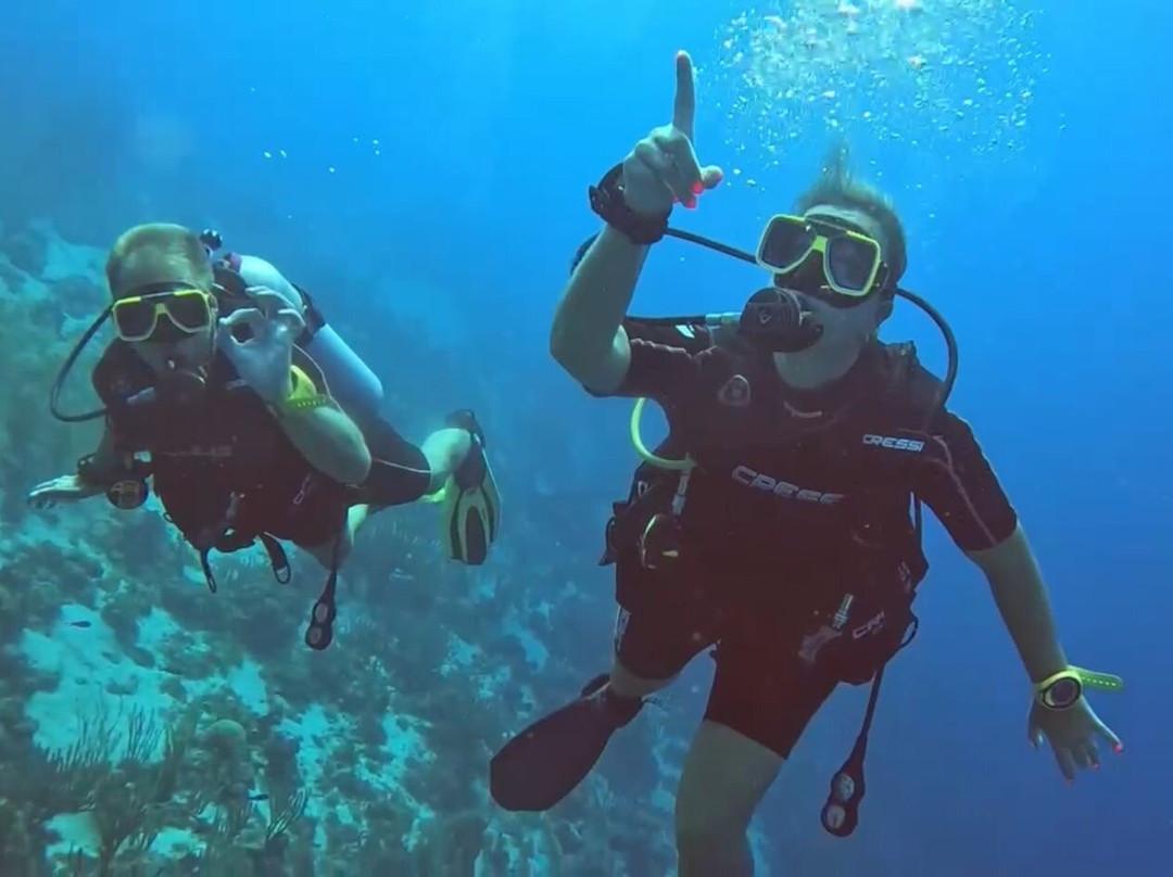 Red Snapper Diving-Dorp Sint Michiel必去景点